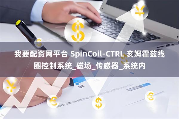 我要配资网平台 SpinCoil-CTRL 亥姆霍兹线圈控制系统_磁场_传感器_系统内